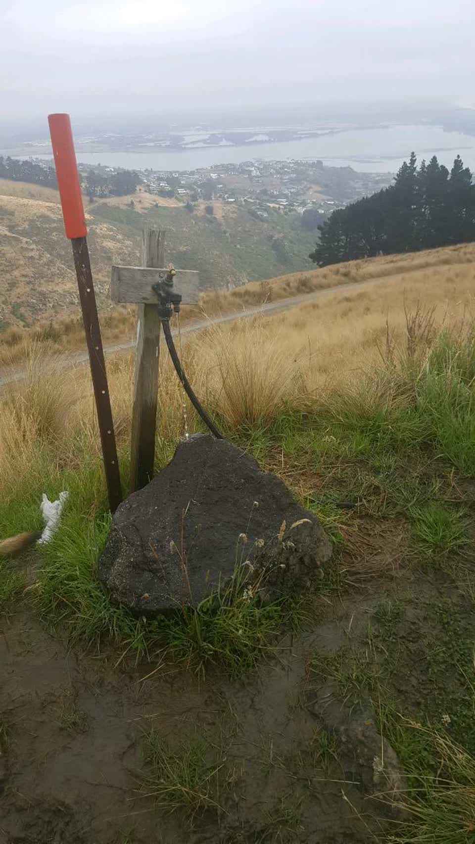 The photograph attached to this water supply report