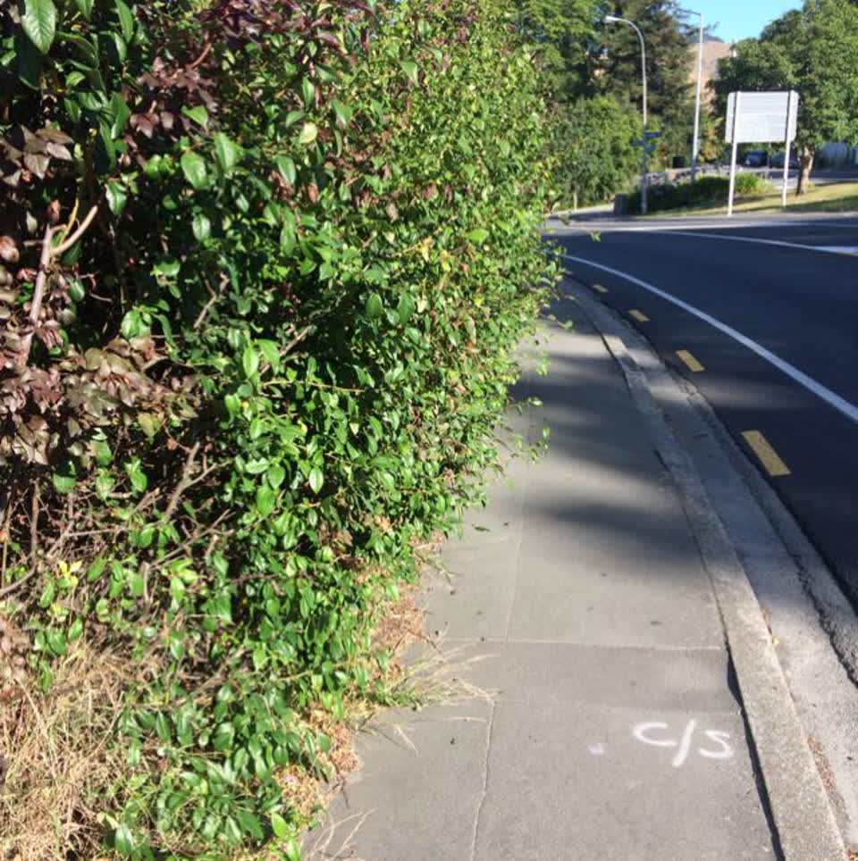 The photograph attached to this roading/streets report