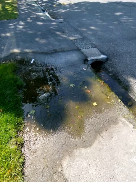 Water Supply, a report photo