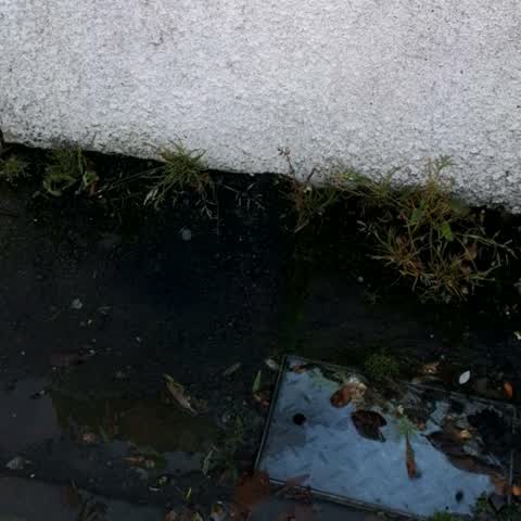 Water Supply, a report photo