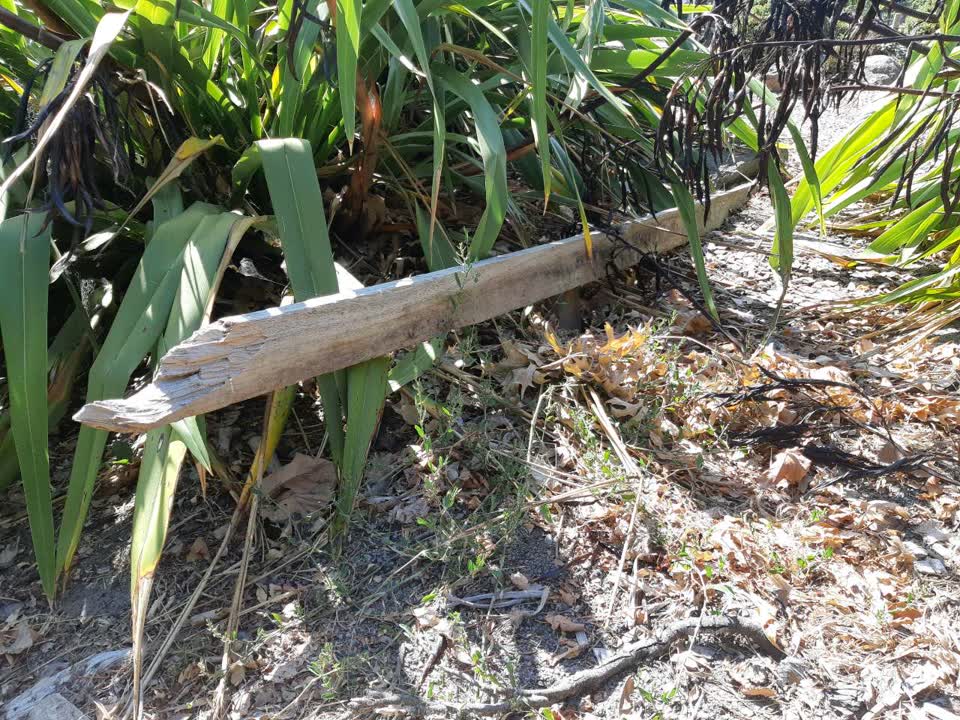 The photograph attached to this parks report