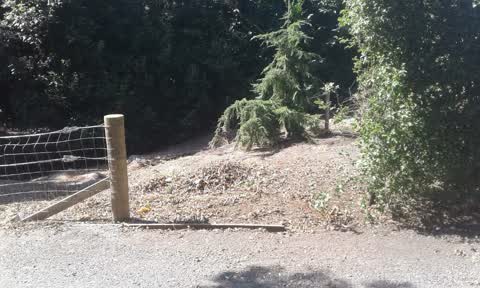 Parks, a report photo