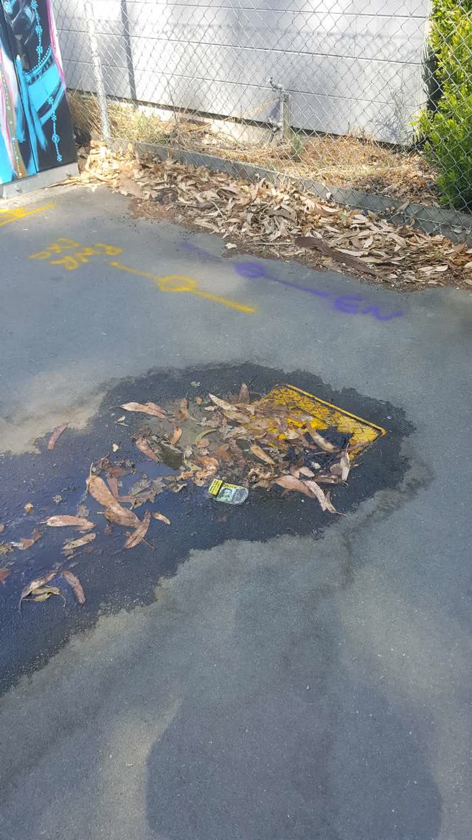 The photograph attached to this water supply report
