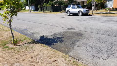 Water Supply, a report photo