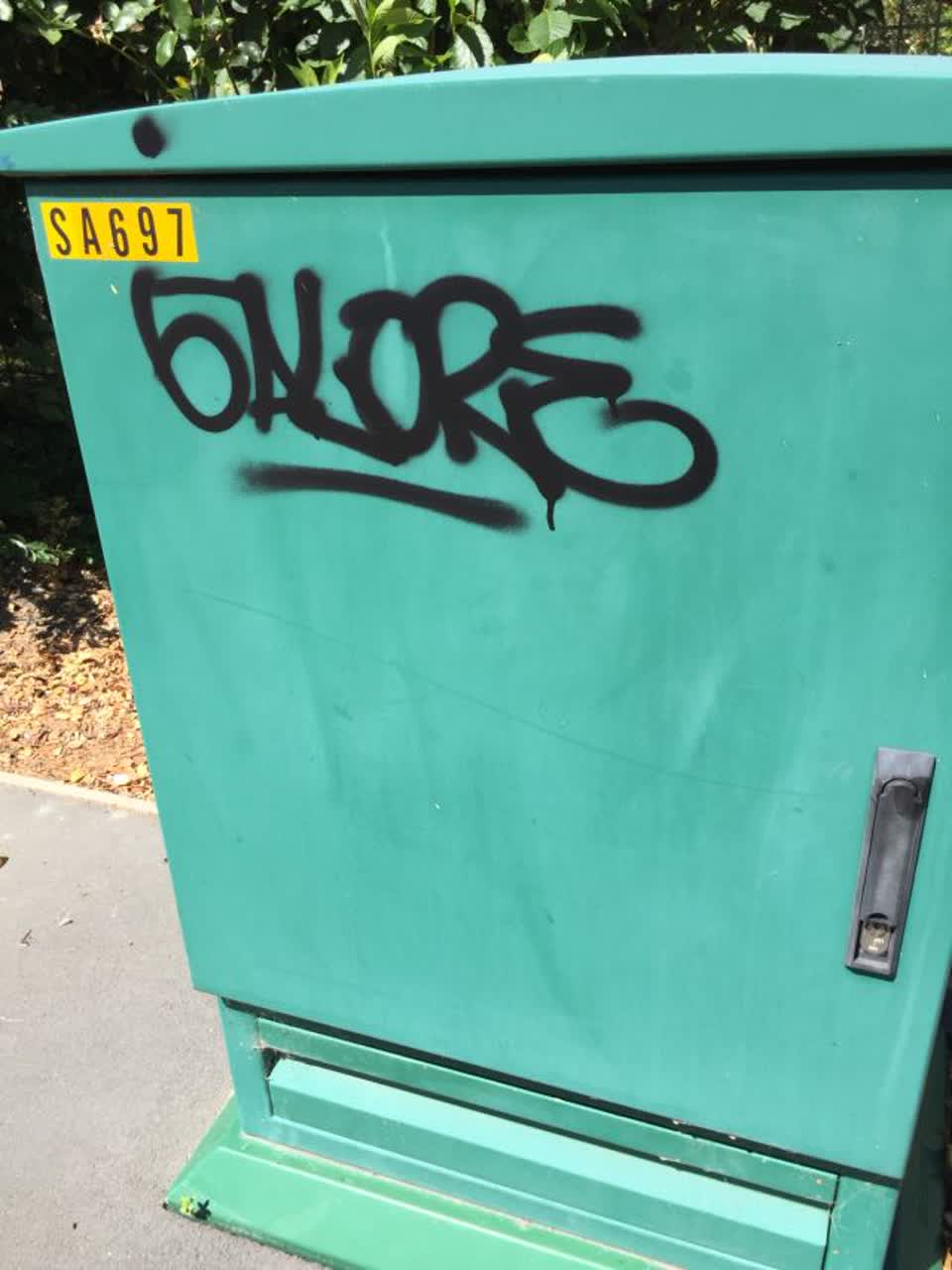 The photograph attached to this graffiti report