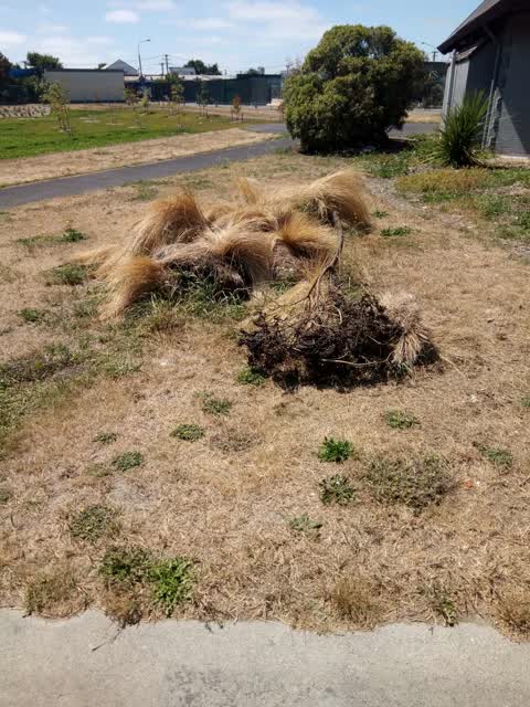 Parks, a report photo