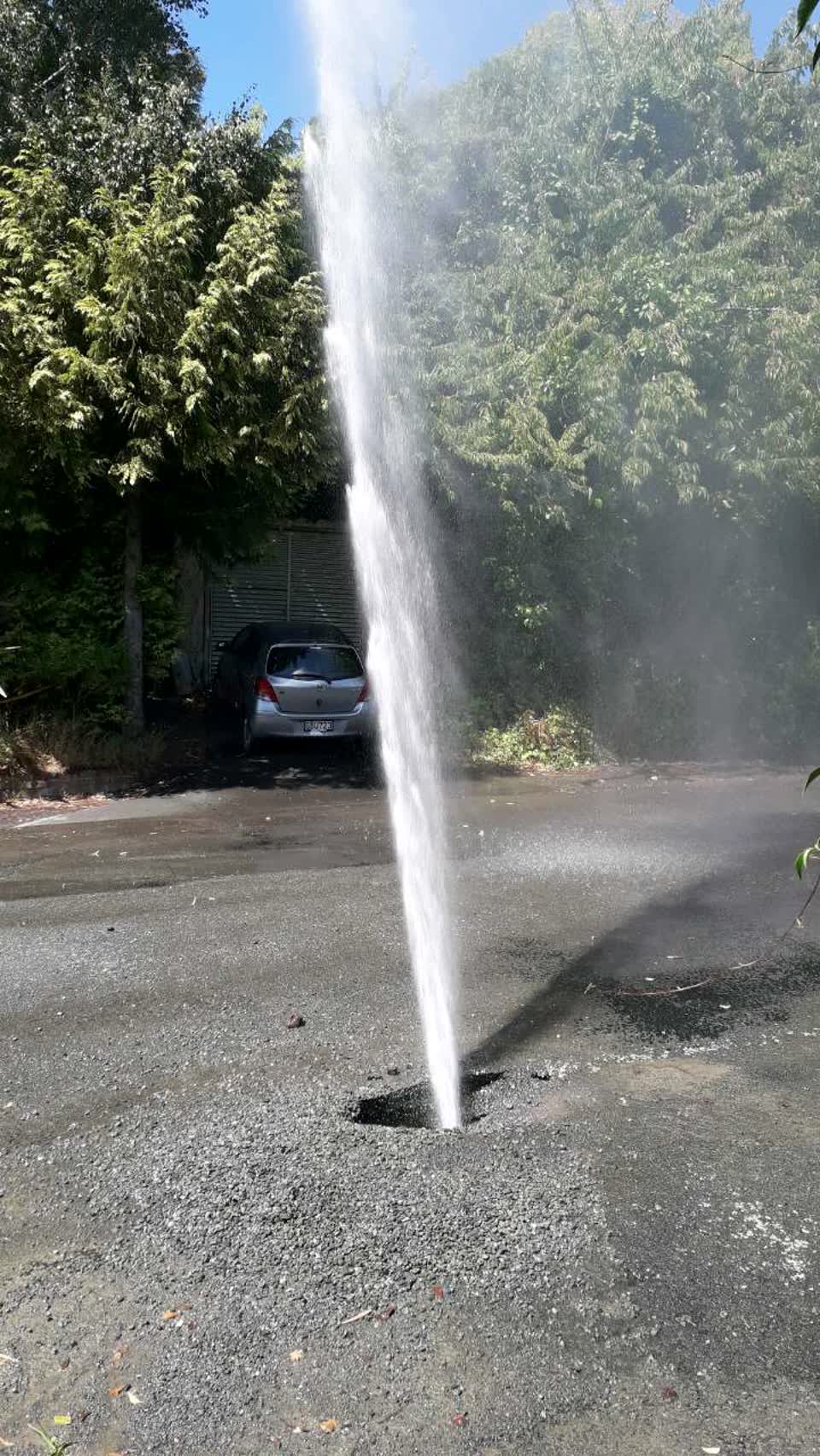 The photograph attached to this water supply report
