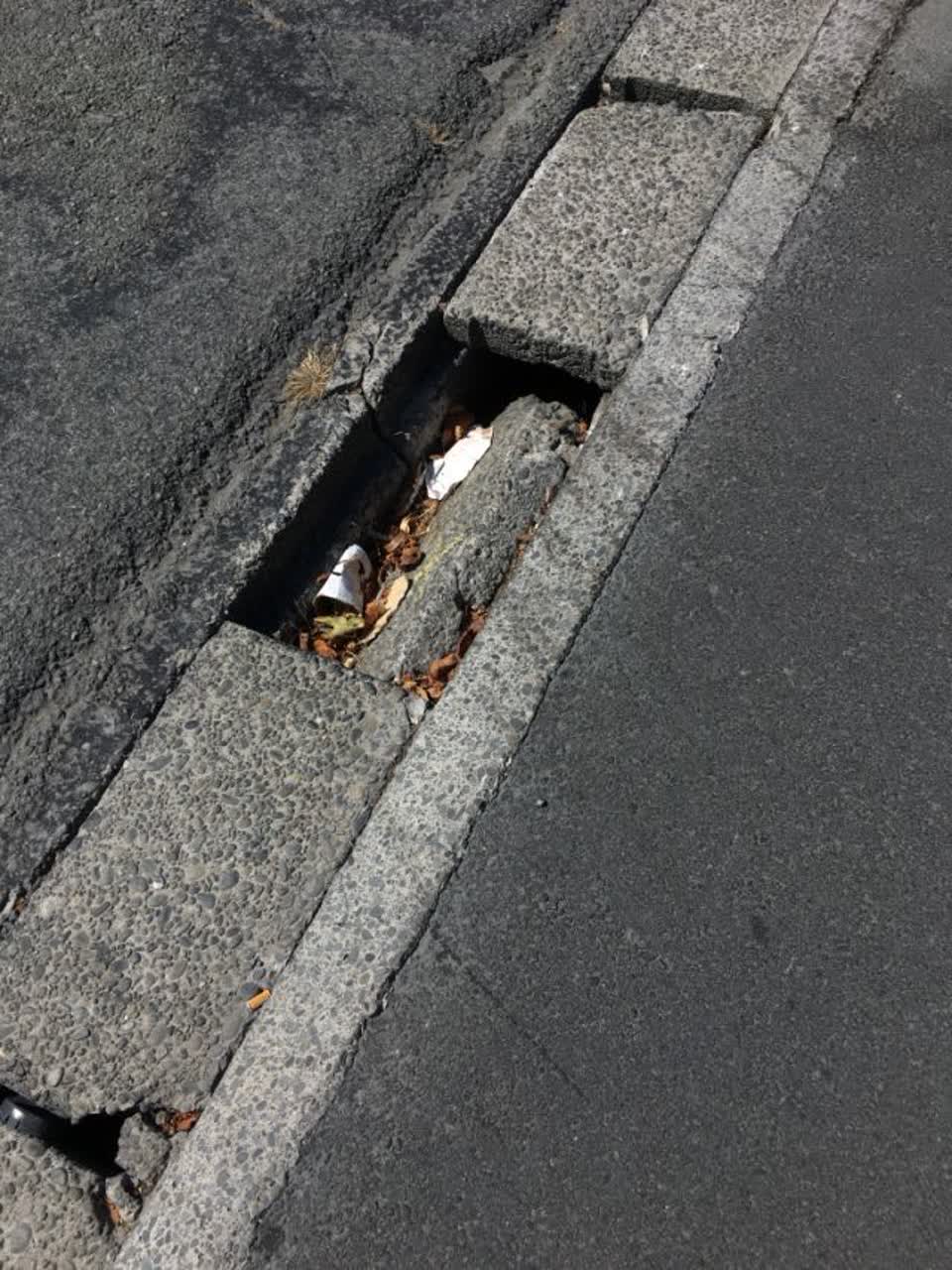 The photograph attached to this roading/streets report