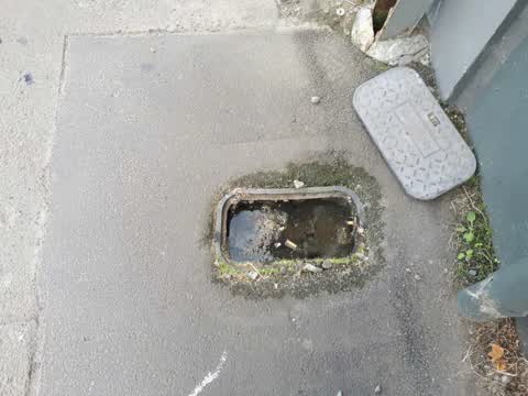 Water Supply, a report photo