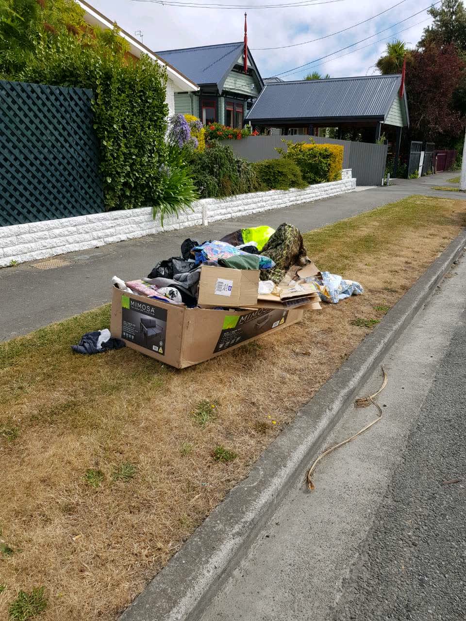 The photograph attached to this rubbish/recycling report