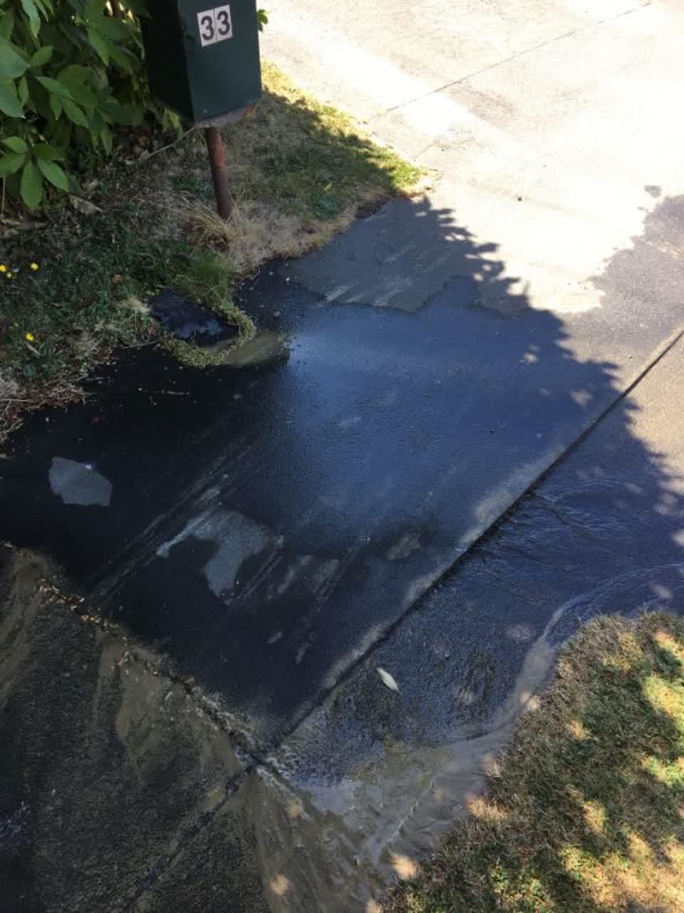 The photograph attached to this water supply report