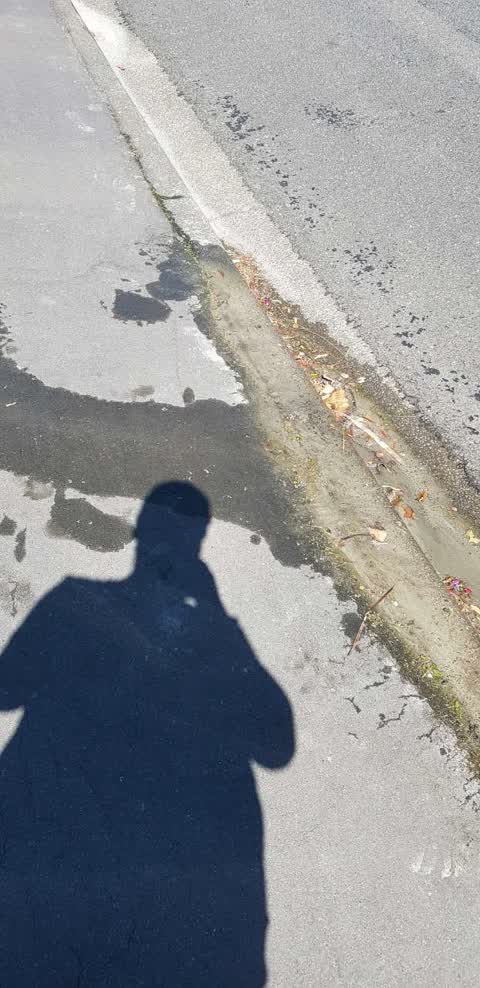 Flooding, a report photo