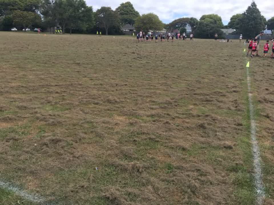 The photograph attached to this parks report