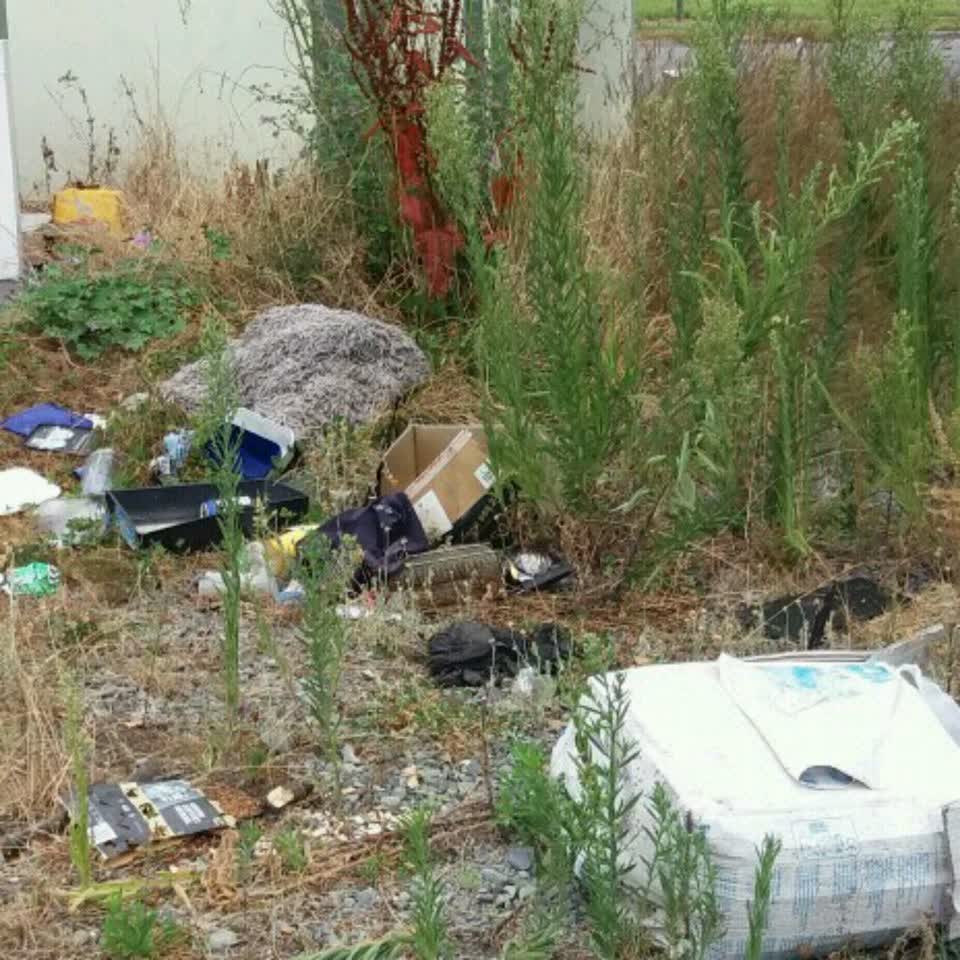 The photograph attached to this rubbish/recycling report