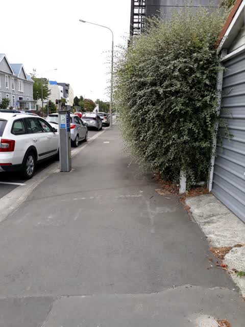 Roading/Streets, a report photo