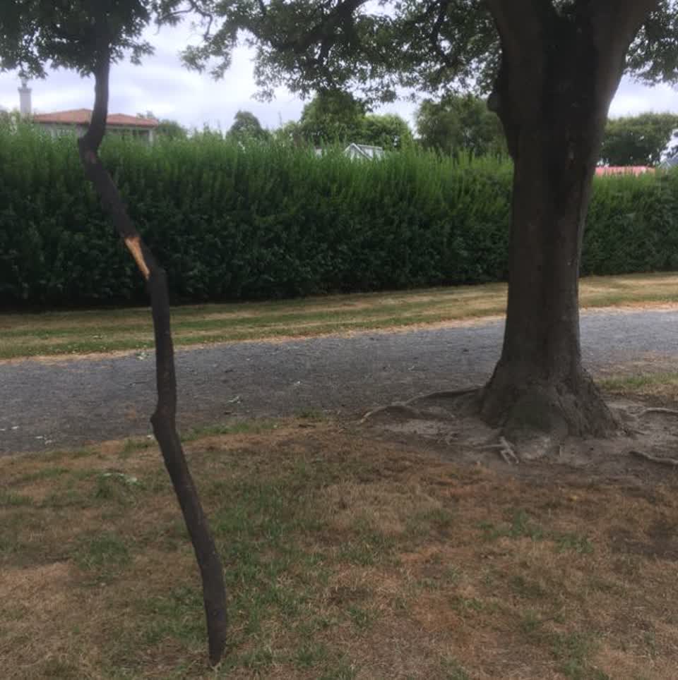 The photograph attached to this parks report