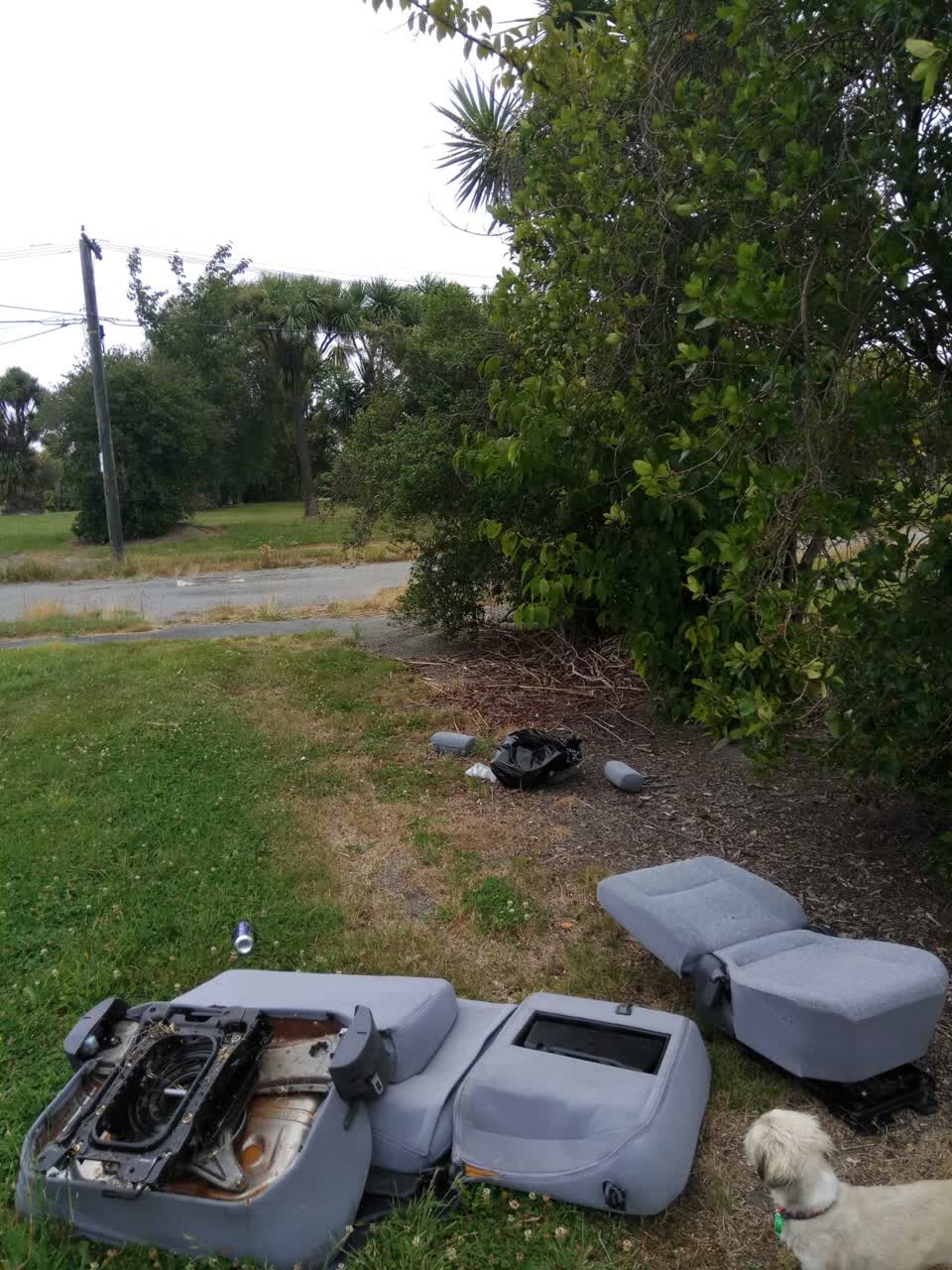 The photograph attached to this rubbish/recycling report