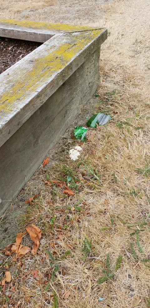 Rubbish/Recycling, a report photo