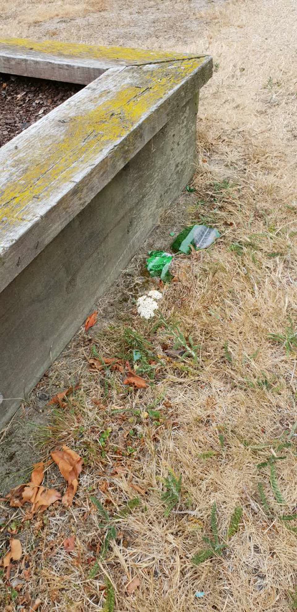 The photograph attached to this rubbish/recycling report