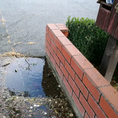 Water Supply, a report photo