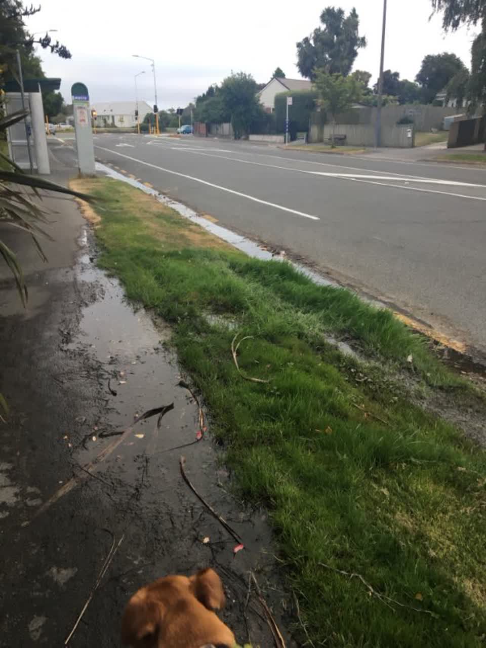 The photograph attached to this water supply report
