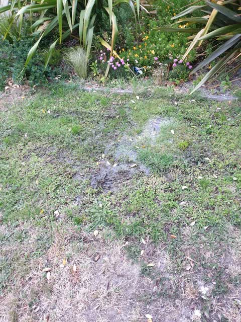 Wastewater/Stormwater, a report photo