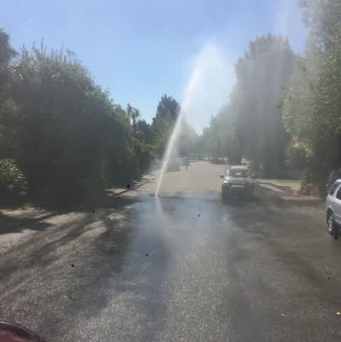 Roading/Streets, a report photo