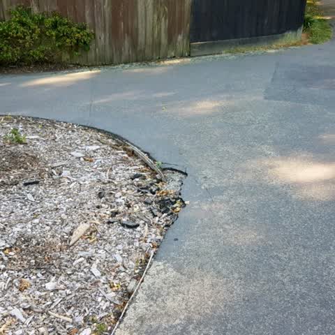 Roading/Streets, a report photo