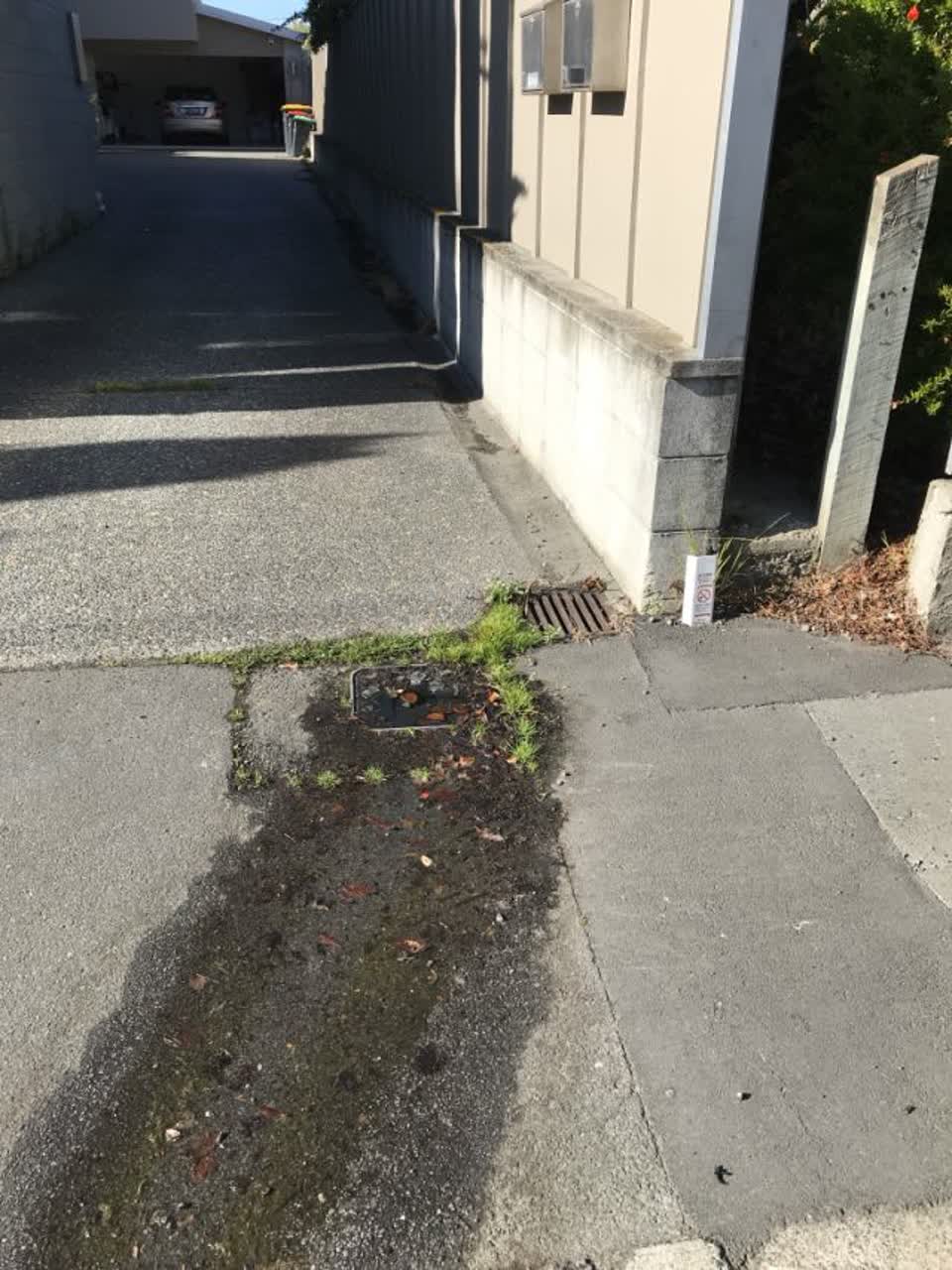 The photograph attached to this water supply report