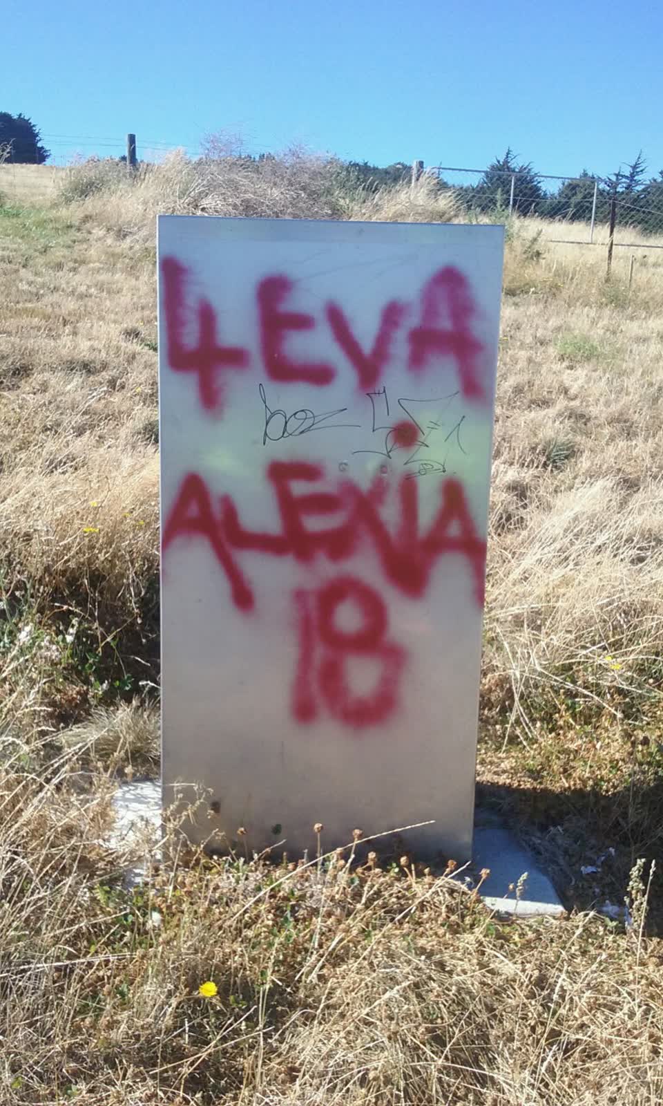 The photograph attached to this graffiti report