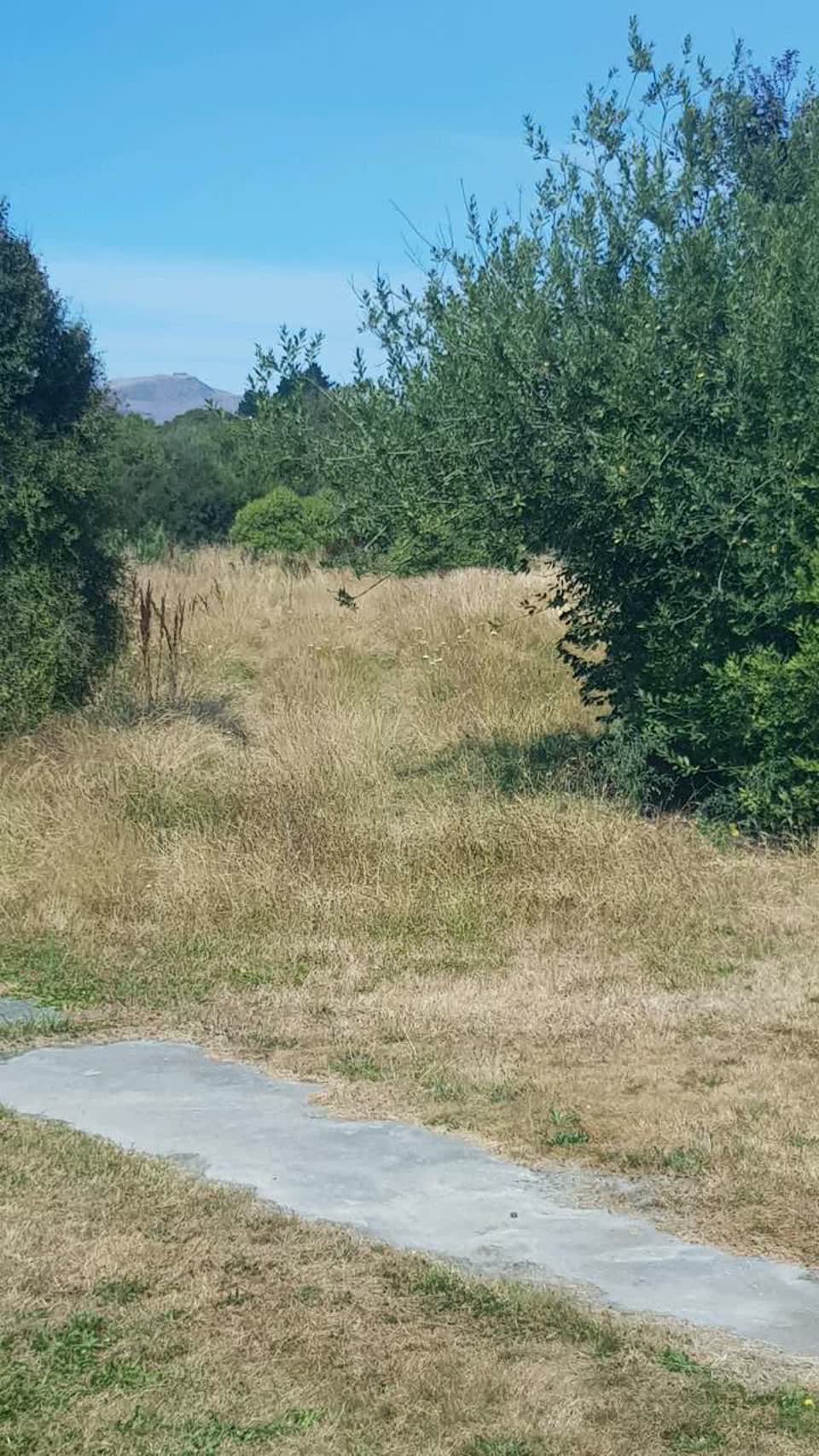 The photograph attached to this parks report