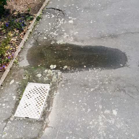 Water Supply, a report photo