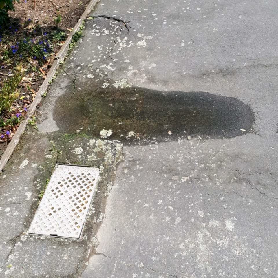 The photograph attached to this water supply report