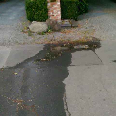 Water Supply, a report photo