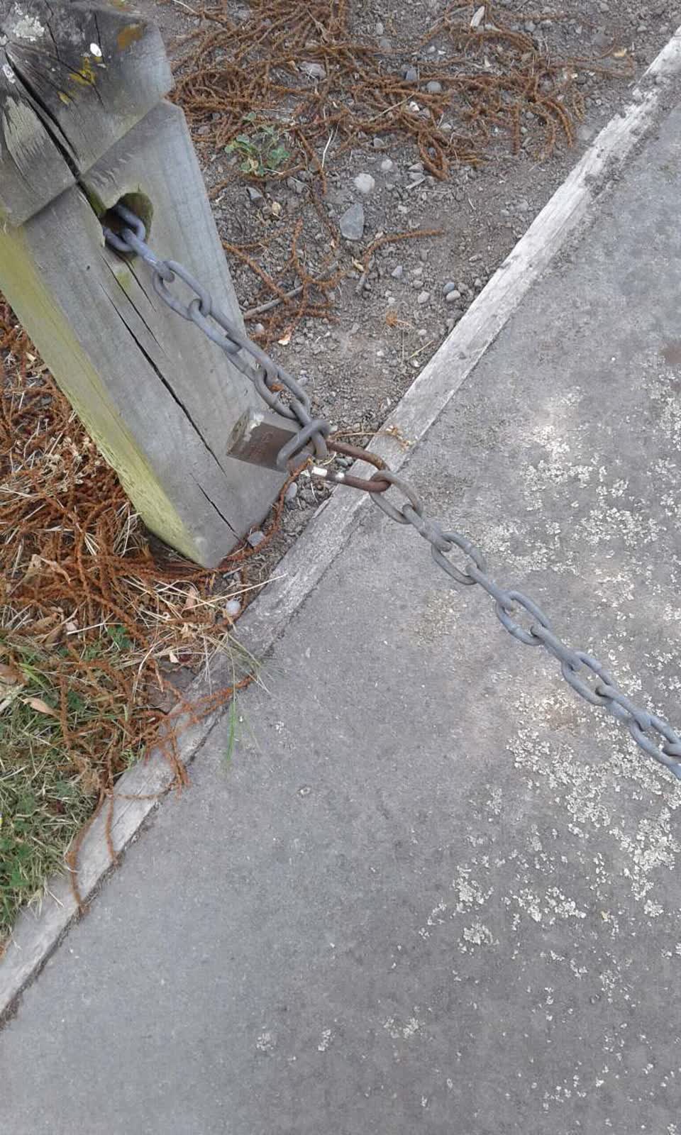 The photograph attached to this parks report