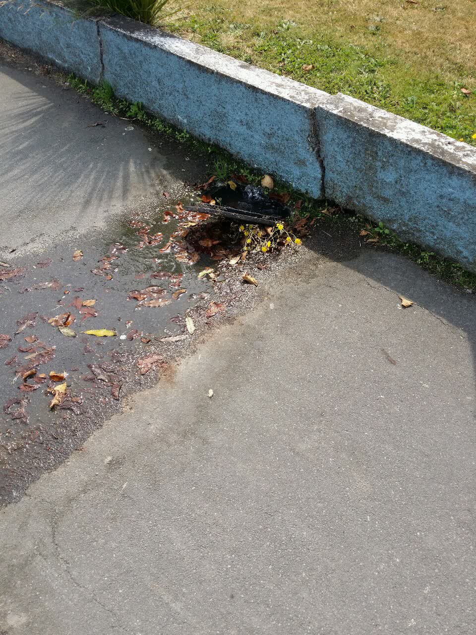 The photograph attached to this flooding report