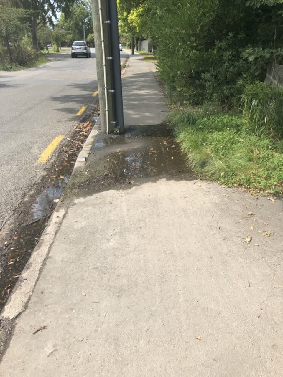 The photograph attached to this roading/streets report
