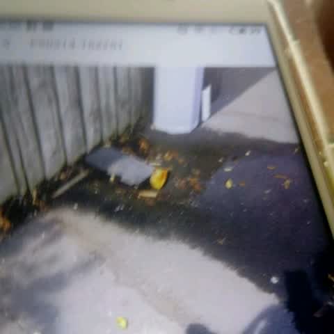 Flooding, a report photo