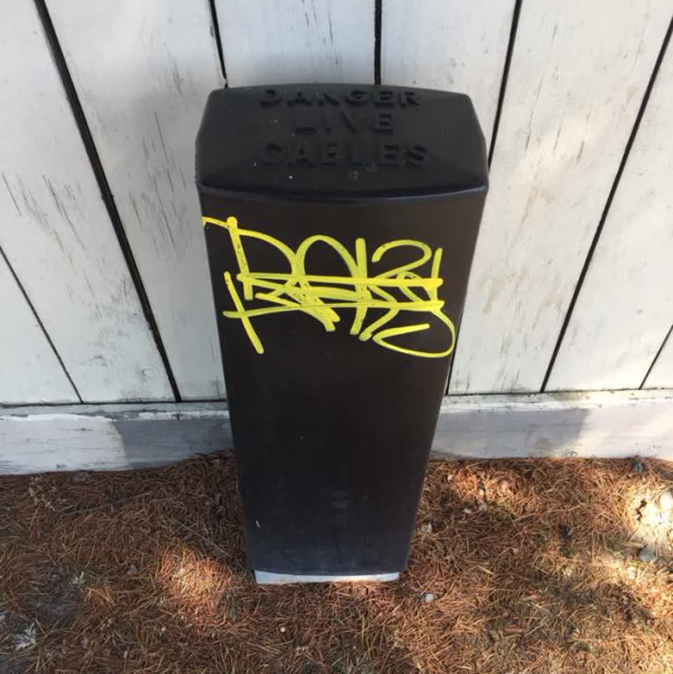 The photograph attached to this graffiti report