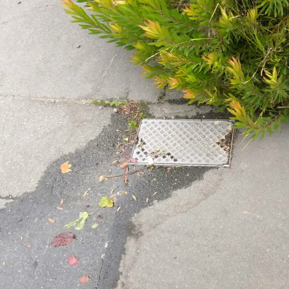 The photograph attached to this water supply report