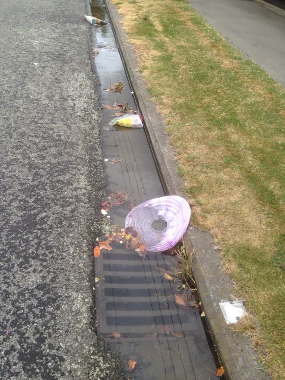The photograph attached to this water supply report