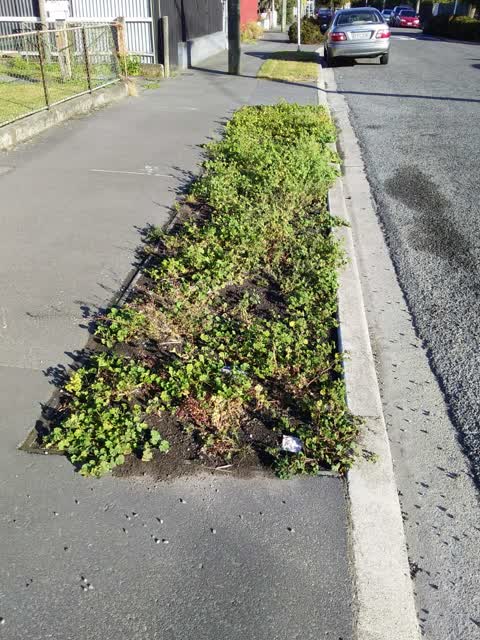 Roading/Streets, a report photo
