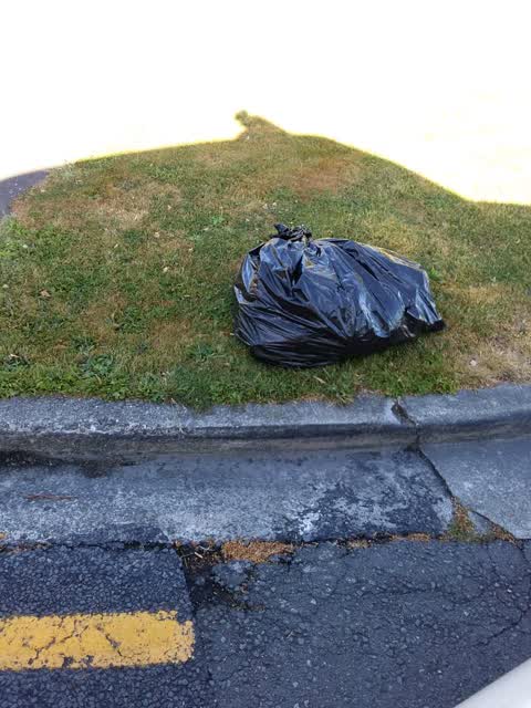 Rubbish/Recycling, a report photo