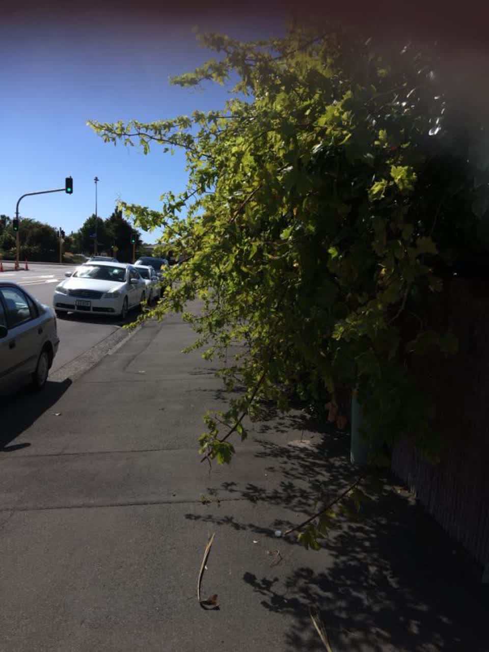 The photograph attached to this roading/streets report