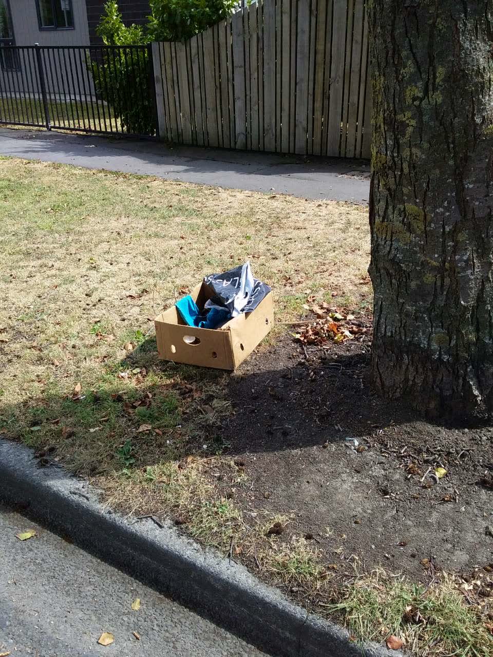 The photograph attached to this rubbish/recycling report