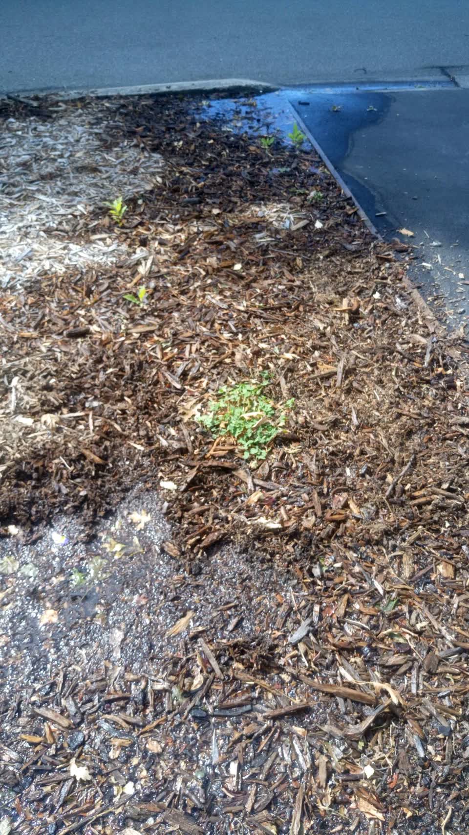 The photograph attached to this water supply report