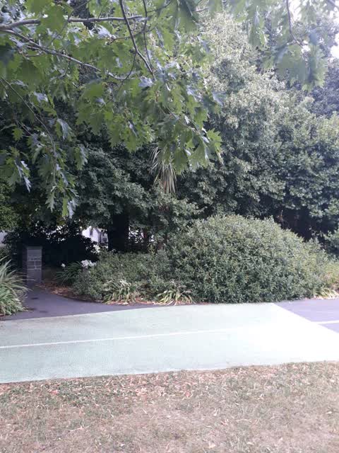 Roading/Streets, a report photo