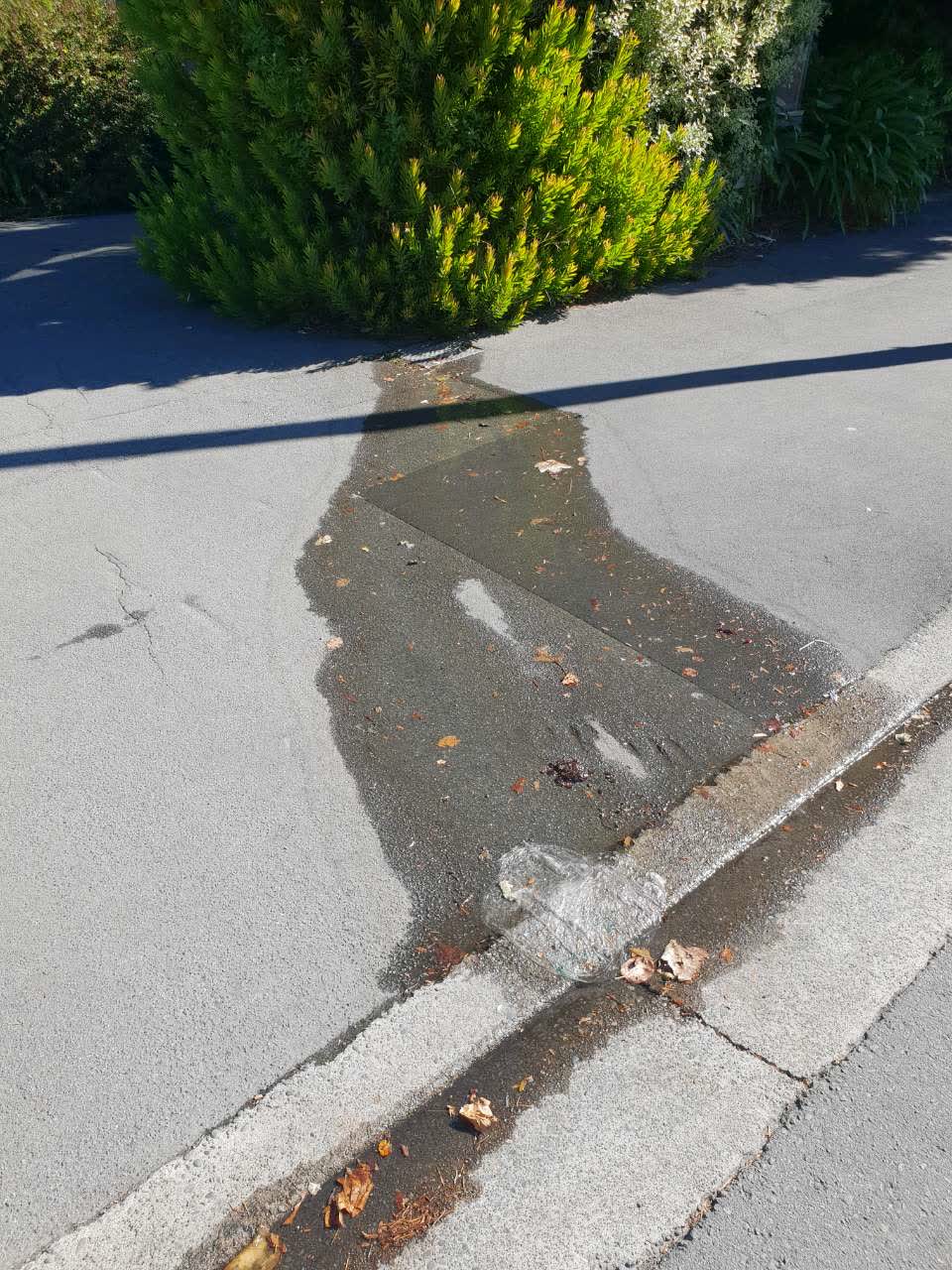 The photograph attached to this roading/streets report
