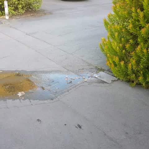 Water Supply, a report photo