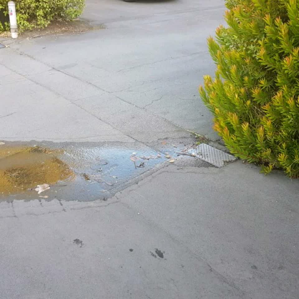 The photograph attached to this water supply report